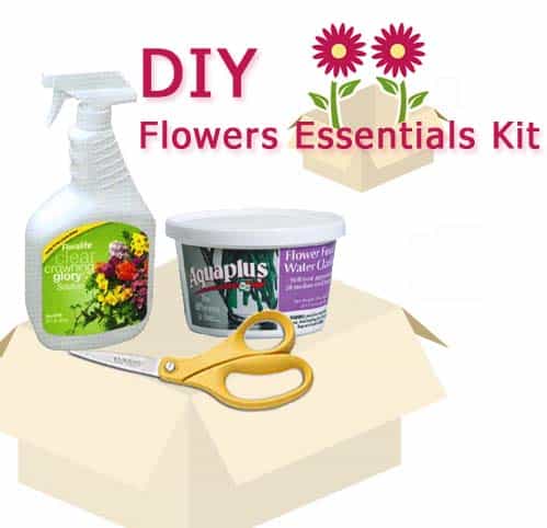 Do It Yourself Wedding Flower Supply Kit