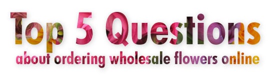 Top-5-Questions-Wholesale-Flowers
