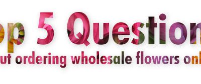 Top 5 Questions About Ordering Wholesale Flowers Online