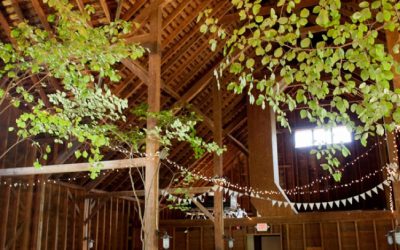 How to Plan a Budget Wedding