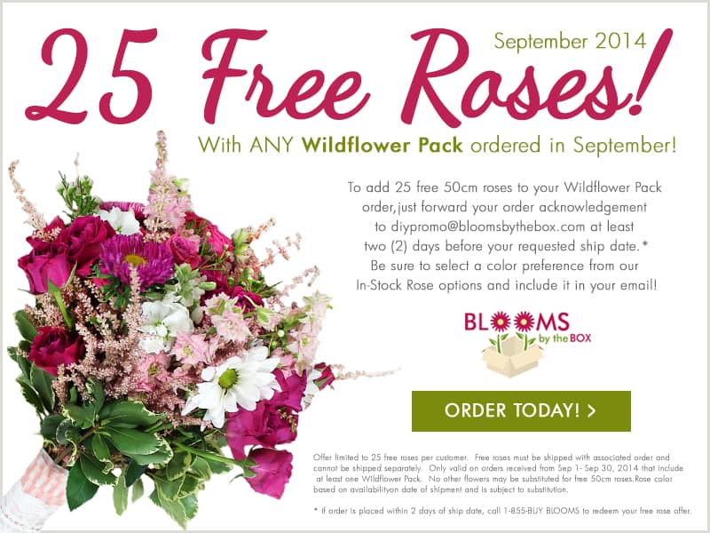 Wildflower Pack Promotion