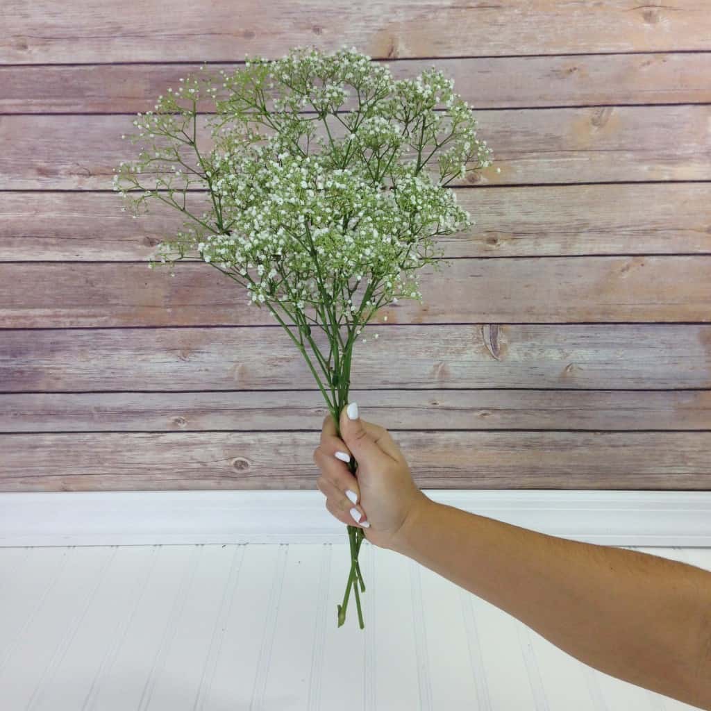 How much baby's breath do I need?