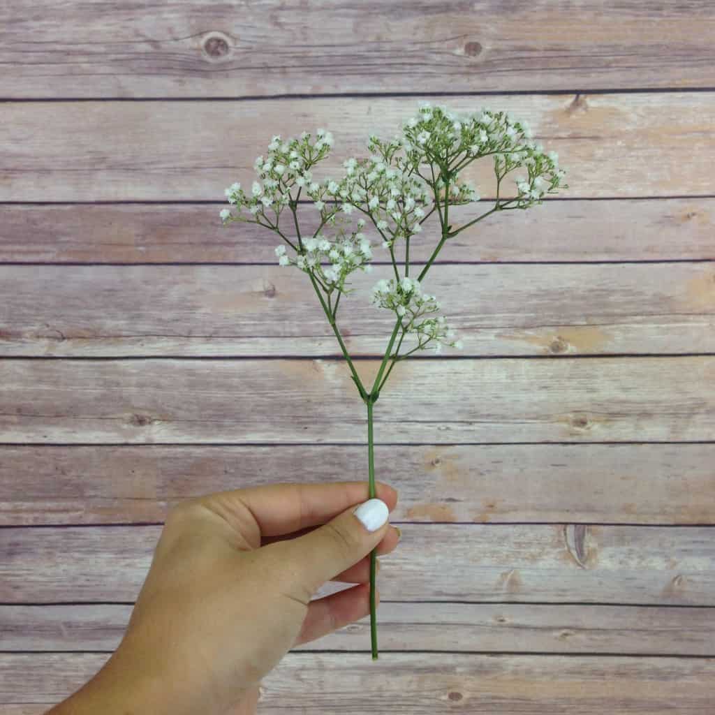 How much baby's breath do I need?