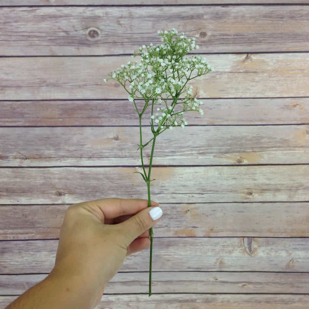 How much baby's breath do I need?