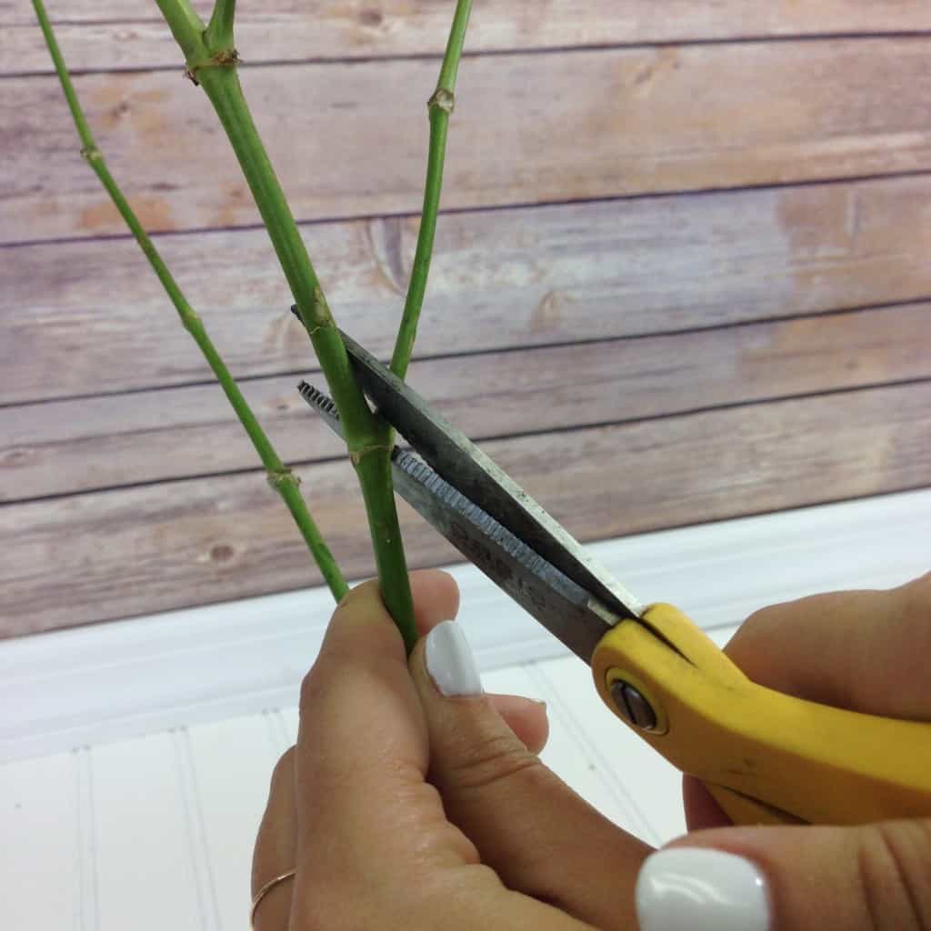 How much baby's breath do I need?