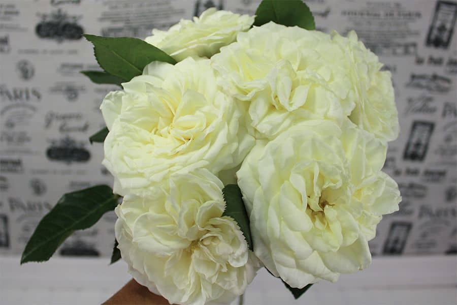 make-a-garden-rose-bouquet-4