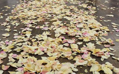 How many petals do I need?