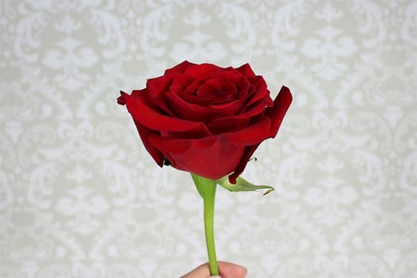 How to Make a Boutonniere 2