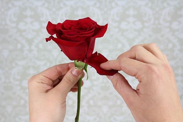 How to Make a Boutonniere 3