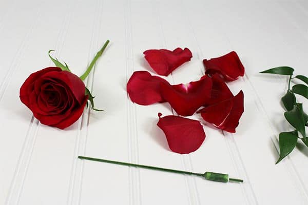 How to Make a Boutonniere 4