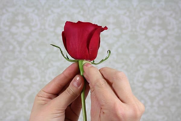 How to Make a Boutonniere 5