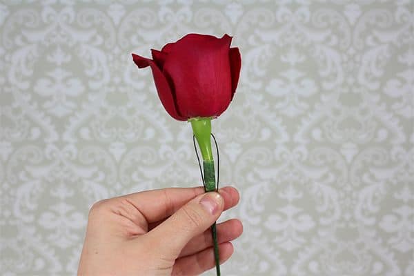 How to Make a Boutonniere 9