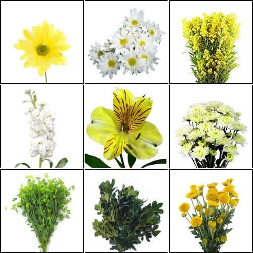 July is Wildflower Month (Enchanted Meadow) Wildflower Pack
