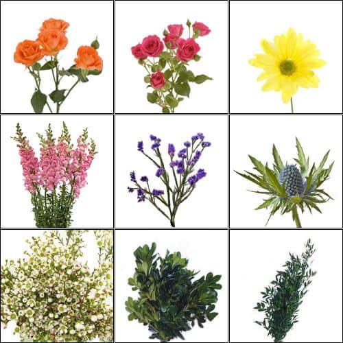 July is Wildflower Month (Rainbow Mix and Match)-Wildflower-Pack
