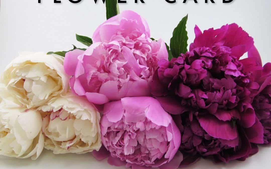 WIN $50 Blooms Flower Card – Instagram Giveaway