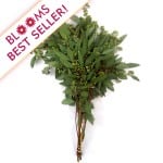 Seeded-Eucalyptus Blooms Best Seller
