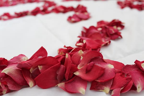 Petal Count Challange II - Enter to Win!