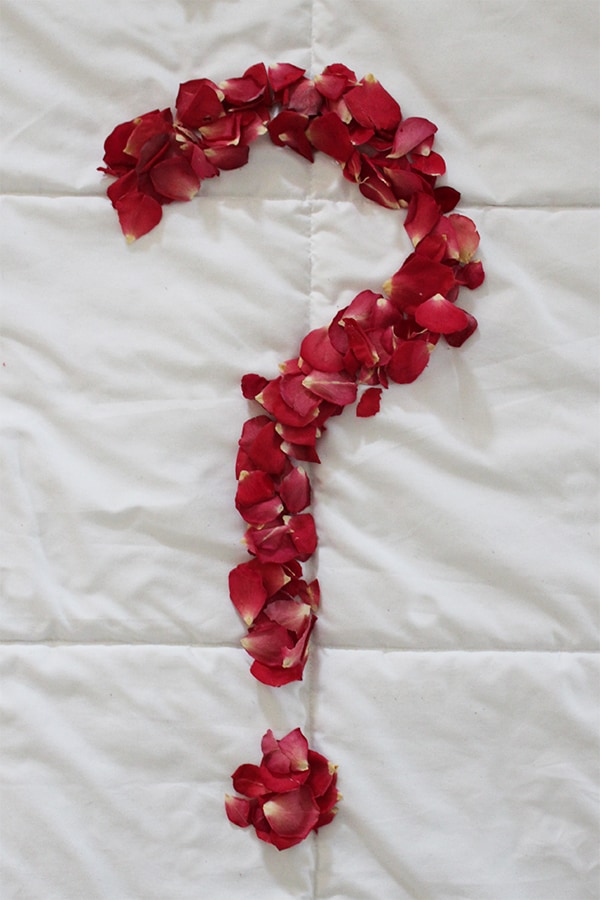 Petal Count Challenge II - Win Free Flowers!