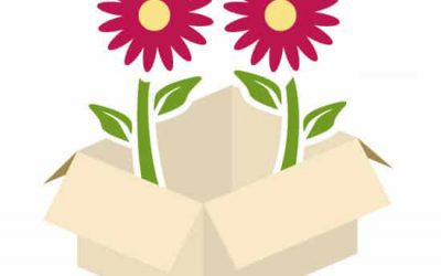 Wedding Flower Inspiration