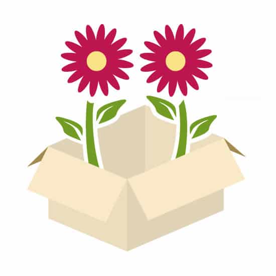 Blooms By The Box