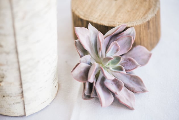 DIY_Wedding_PerryManfielfPerformingArtsCenter_AndyBarnhardPhotogrpahy_BloomsbytheBox_5