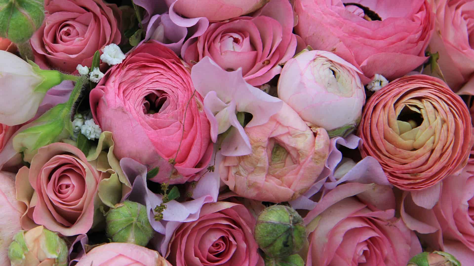 # MyFavoriteBlooms2 Sweepstakes Winner!