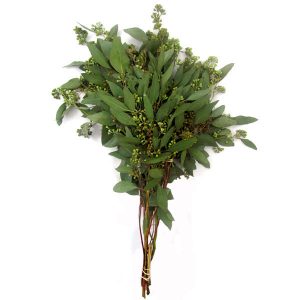 Fresh Flower Hanukkah Décor Fresh Flower Hanukkah Décor