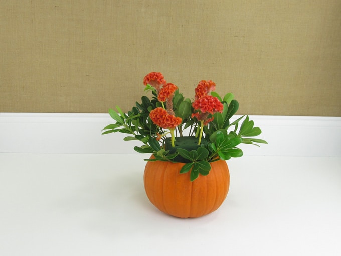 diy-pumpkin-arrangement-04