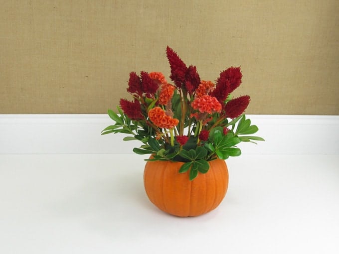 diy-pumpkin-arrangement-05