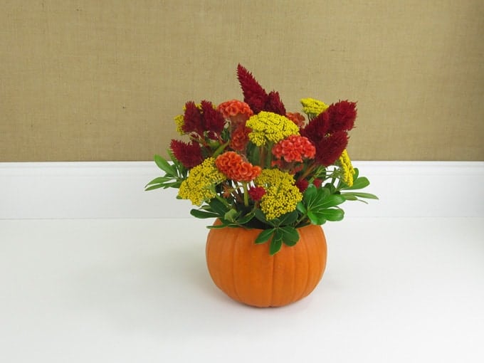 diy-pumpkin-arrangement-06