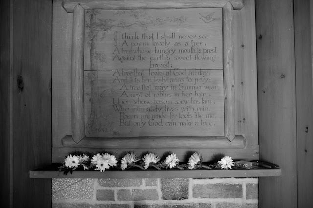 Orange Rustic Wedding bloomsbythebox_eliza_josh_wedding-kevintrimmerphoto12