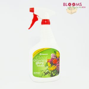 Fresh Flower Hanukkah Décor Fresh Flower Hanukkah Décor