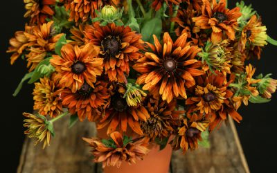 Fall Garden Style Centerpiece Tutorial in Terra Cotta