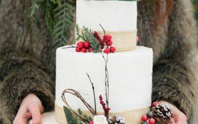 Log Cabin Inspired Winter Wedding