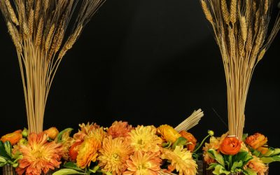 How-To Create High and Low Black Beard Wheat Centerpieces