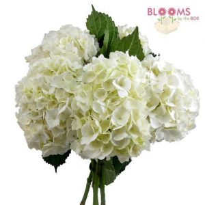 large white hydrangea bouquet