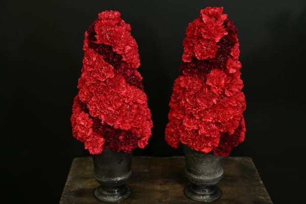 How To Create Two-Toned Red Carnation Trees