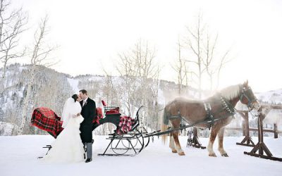 Winter Wonderland Inspired Wedding