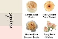 Nude blush chart