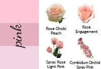 Pink scale chart
