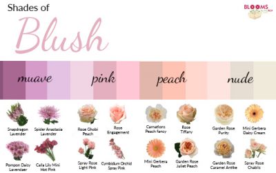 Shades of Blush