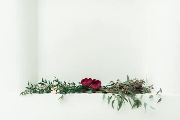 red flowers with long greens laying on a white background