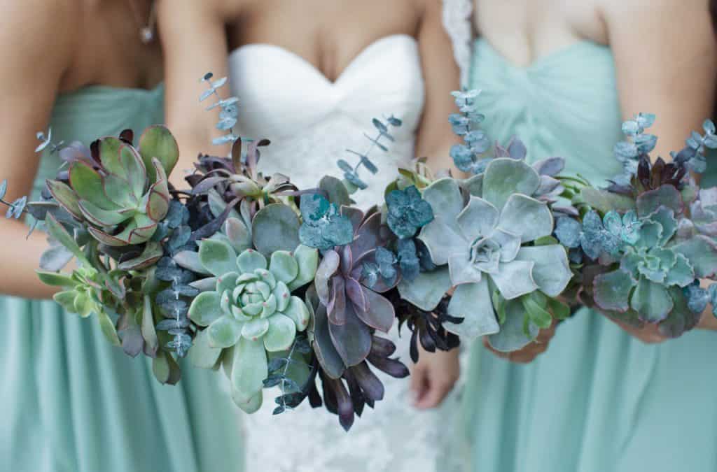 bride and bridesmaids with succulent wedding bouquets