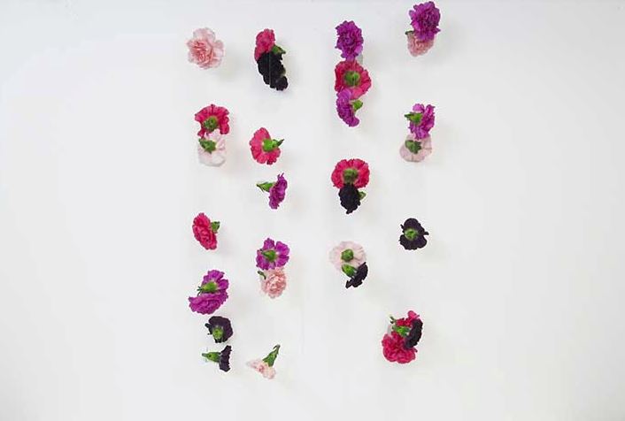 DIY Carnation Curtain