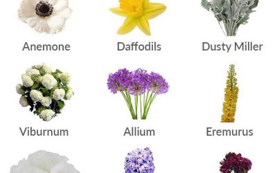 9 Flowers to Look Forward to in March