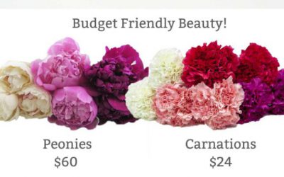 Faux Peonies Using Fresh Carnations