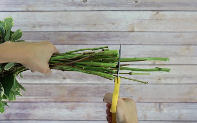 7 Essential DIY Flower Tips From the Pros