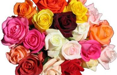 Wedding Flower Favorite: Roses