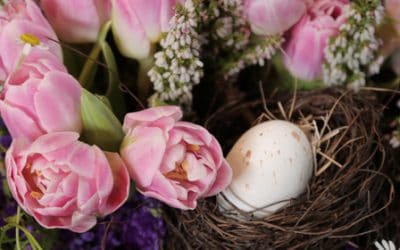 Wedding Flower Favorites: Tulips