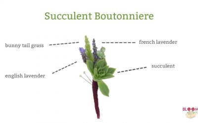 DIY Succulent Boutonniere